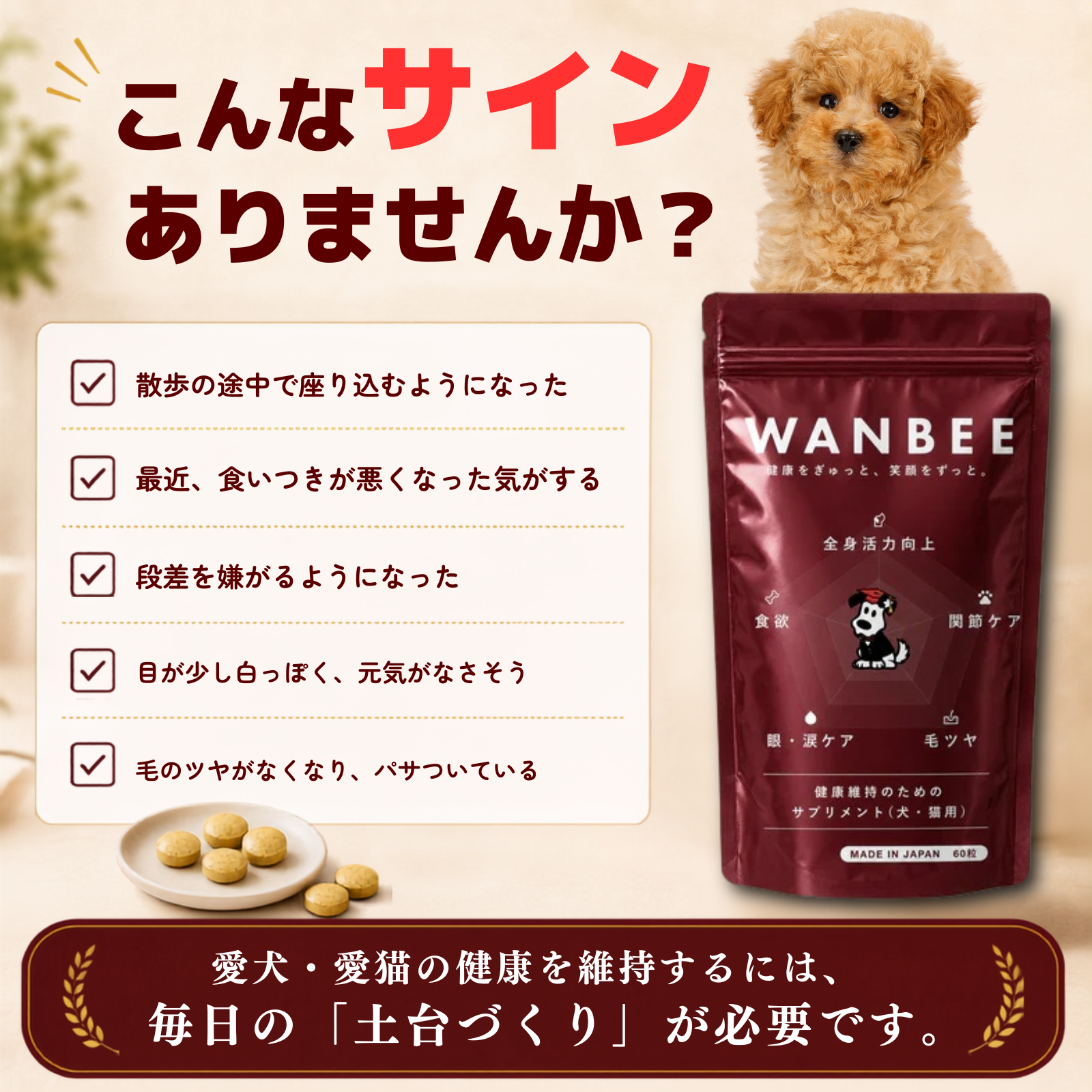 WANBEE(ワンビー)