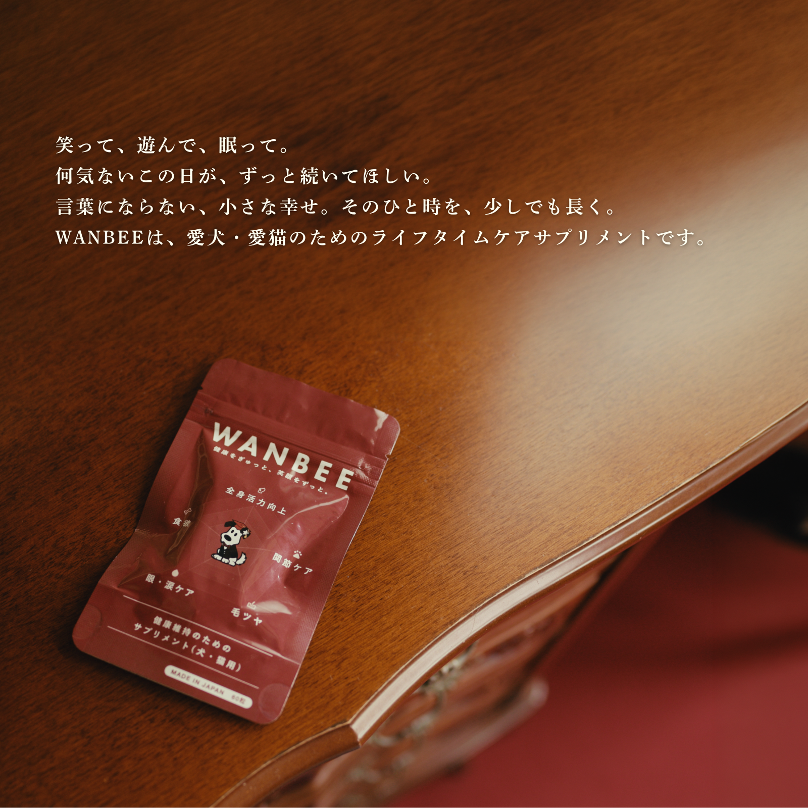 WANBEE（ワンビー）