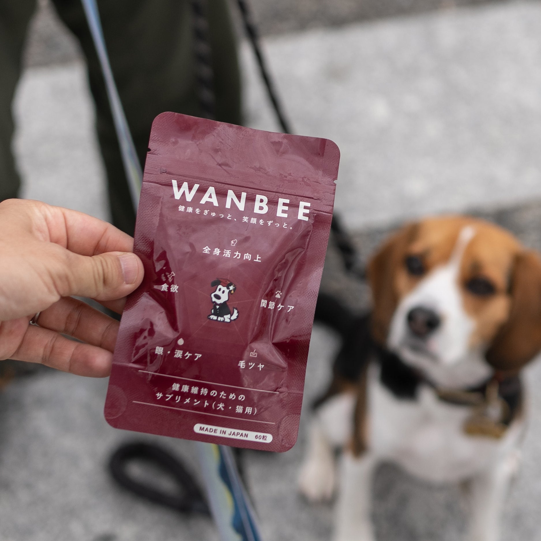 WANBEE（ワンビー）